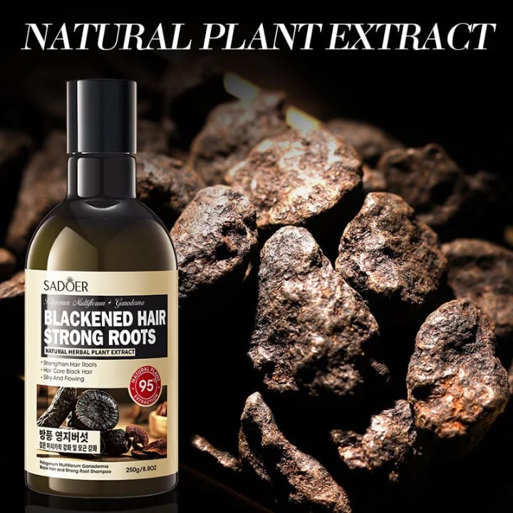 067ef143c7205baaa79ccb4765b6d35f