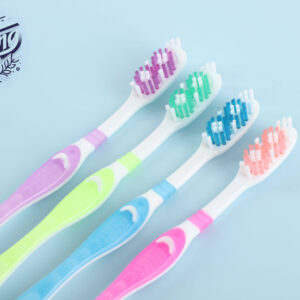 Douzaine Brosses à dent pour adulte